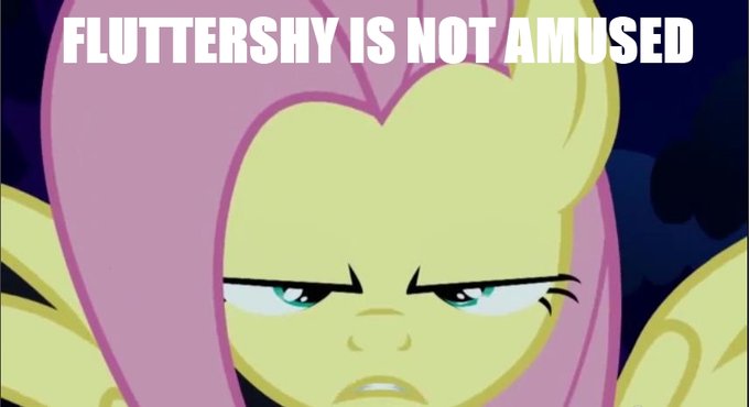 fluttershy is not amused - Copy