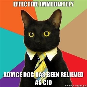 business cat vs advice dog